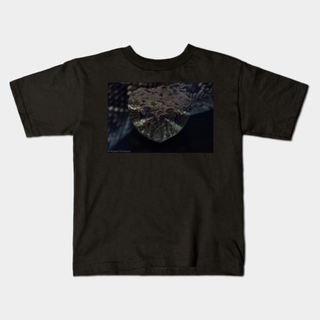 Snake In The Dark Kids T-Shirt by redneckpoet